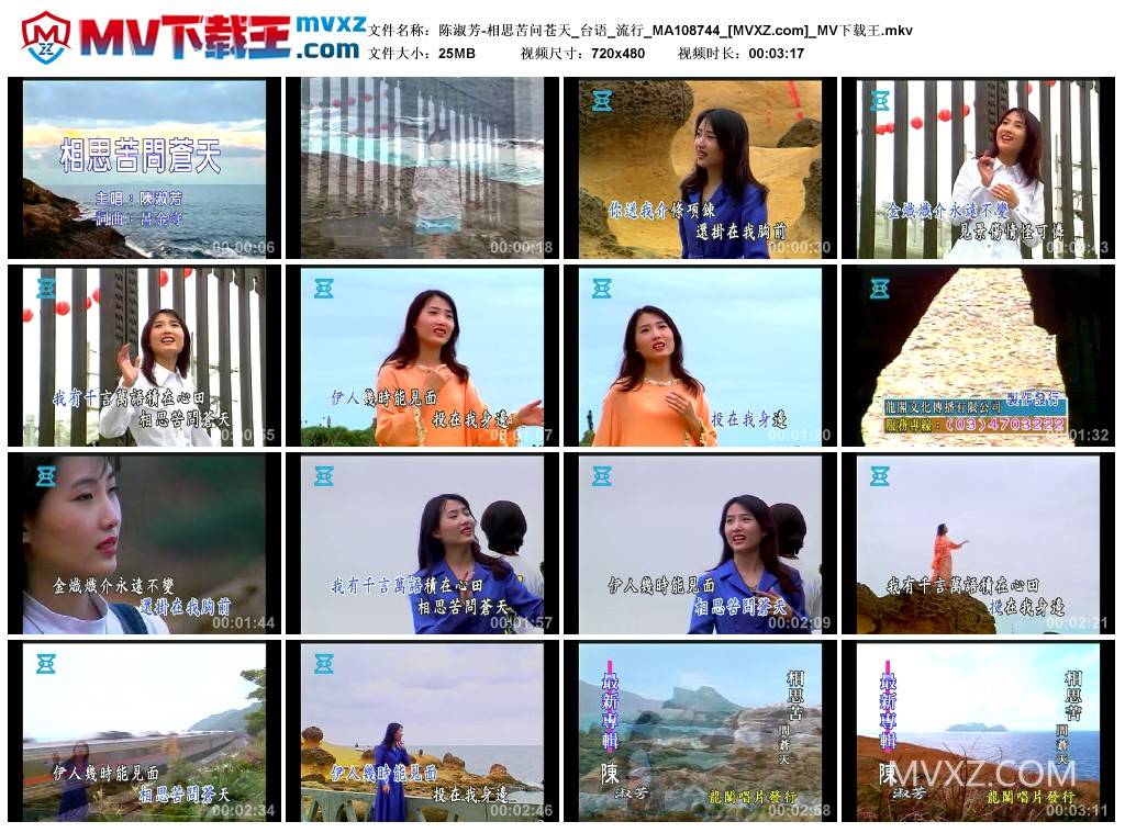 陈淑芳-相思苦问苍天_台语_流行_MA108744